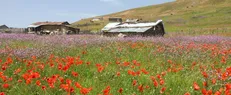آسمان گیلان در روز طبیعت صاف تا نیمه ابری است