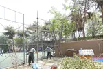 درخت