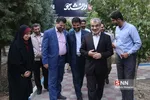 کدخدایی