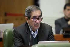 درخواست عضو شورای اسلامی شهر تهران از قوه قضاییه؛ به برخورد قاطع با مجرمان خشونت‌گر ادامه دهید