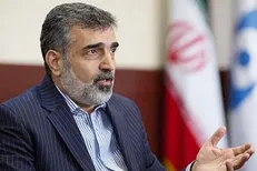 لغو فعالیت بازرسان آژانس اتمی از آلمان و فرانسه