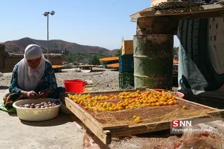 روستای خرو