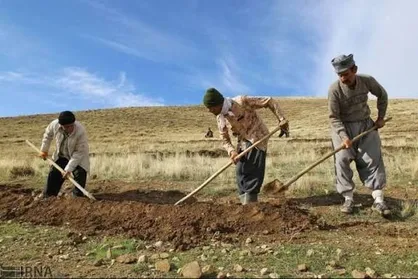 عزم مشترک مرتع&zwnj;داران و منابع طبیعی گچساران برای احیای پوشش گیاهی