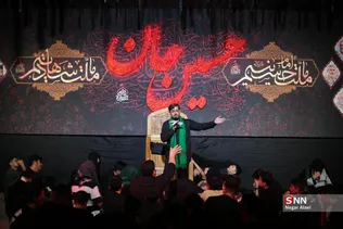 دبب