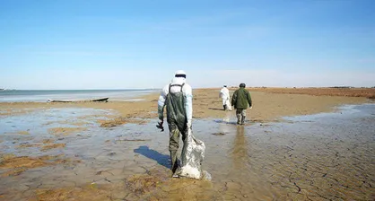 آماده&zwnj;باش صد&zwnj;درصدی گلستان برای مقابله با آنفلوآنزای فوق حاد پرندگان