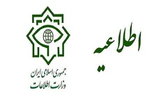 دستگیری عناصر موثر در اغتشاشات توسط وزارت اطلاعات