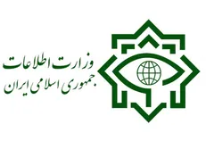 اعضای شبکه هرمی «ورد واید انرژی» دستگیر شدند