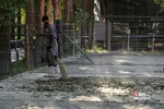باغ وحش ارم سبز 