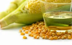 ۴ افزودنی که به سم در غذا معروف هستند
