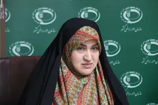 رفیعی : سامانه مشترک اطلاعات بین سازمان‌های متولی حفاظت از منابع طبیعی کشور تشکیل شود