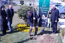 کاشت نهال در کمیته ملی المپیک و پارالمپیک به یاد سیامند رحمان