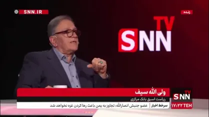 سیف: به دلیل عضویت رئیس بانک مرکزی در دولت، ممکن است برخی موضوعات به وی تحمیل شود