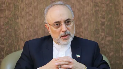 صالحی:دیدگاه سیاسی متفاوت دلیل اصلی دشمنی ما با امریکاست
