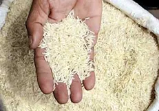 عامل ناشناس گرانی برنج