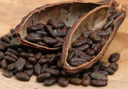 چگونگی تقلب در کره کاکائو&zwnj;ها