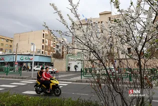 چند قدم مانده تا بهار