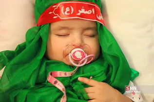 همایش شیرخوارگان حسینی در شیراز