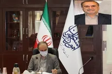 سرپرست اولین المپیاد فرهنگی ورزشی دانشجویان غیرایرانی دانشگاه‌ها منصوب شد