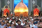 دبب
