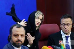 سیلذ
