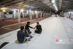 سیاه پوش