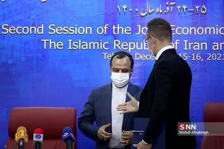 سیلذ