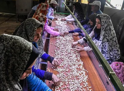 اولین طرح جامع خاتمه&zwnj; یافته کشور در حوزه اسناد توسعه اقتصادی و اشتغال&zwnj;زایی روستایی ارائه شد