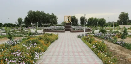 سرپرست دانشگاه&zwnj; جیرفت منصوب شد