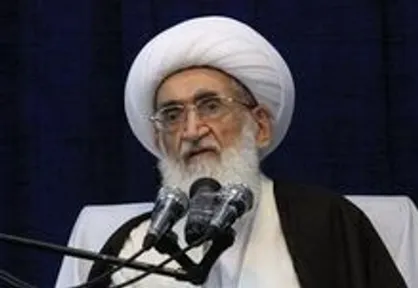 آیت&zwnj;الله نوری همدانی: فعالیت کارخانه&zwnj;ها لطمه به محیط زیست زده است