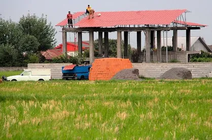 شناسایی ۳۶ هکتار تغییر کاربری غیرمجاز زمین&zwnj;های کشاورزی و باغی در گیلان