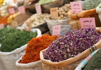 &laquo;جشنواره و نمایشگاه ملی گیاهان دارویی&raquo; برگزار می&zwnj;شود