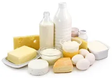 طرح کاهش آلرژی به محصولات لبنی با استفاده از باکتری‌های بومی ایران بررسی شد