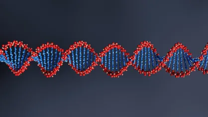 استفاده از DNA چسبنده برای تولید ساختار&zwnj;های سازمان یافته
