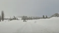 بارش ۳۶ سانتی‌متر برف در آلوارس اردبیل