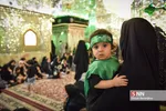 همایش شیرخوارگان حسینی در شیراز