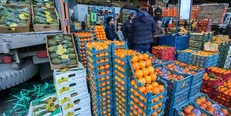 قیمت ۱۰ محصول پر تقاضای این روز‌های میادین میوه و تره بار