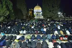 آلبوم