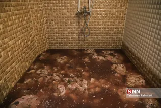 کشف مرغ و گوشت فاسد جهت توزیع در ساندویچی ها