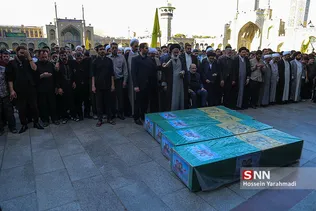 شهید