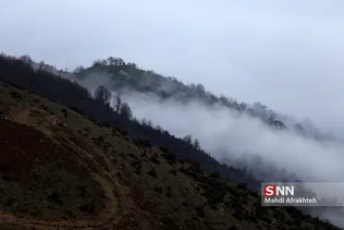 فیلبند