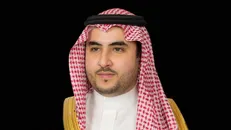 خالد بن سلمان با منصور هادی دیدار کرد