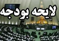 با تخلفات دولت چه نیازی هست به بودجه‌نویسی؟!