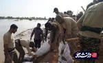جهادگران دانشگاه‌های آزاد خوزستان به سیل زدگان سوسنگرد خدمت رسانی کردند