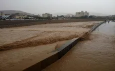 دانشجویان بسیجی شیراز در کنار امدادگران