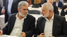 اسماعیل هنیه در صدر هیاتی وارد مصر شد