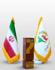 کسب بالاترین رتبه توسط صندوق بیمه اجتماعی در بین دستگاه‌های اجرائی عمومی و دولتی