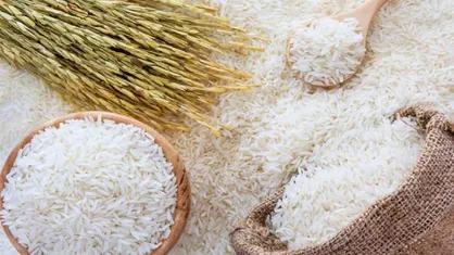 قیمت برنج در ماه رمضان تغییر نمی&zwnj;کند