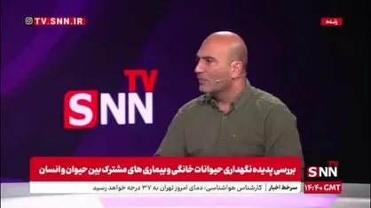 دریکوند: در اثر حمله سگ ها دو دختر در یاسوج فلج شدند / جان و سرمایه مردم در خطر است