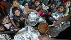 مهندسی گرسنگی؛ غزه در میان قحطی و مرگ خاموش