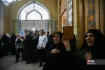 دبب